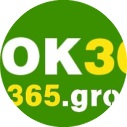 OK365sbs avatar